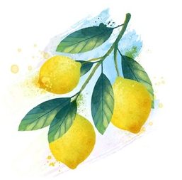 limoni